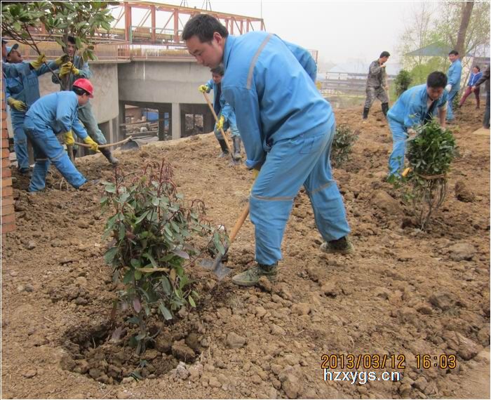 點擊查看放大圖