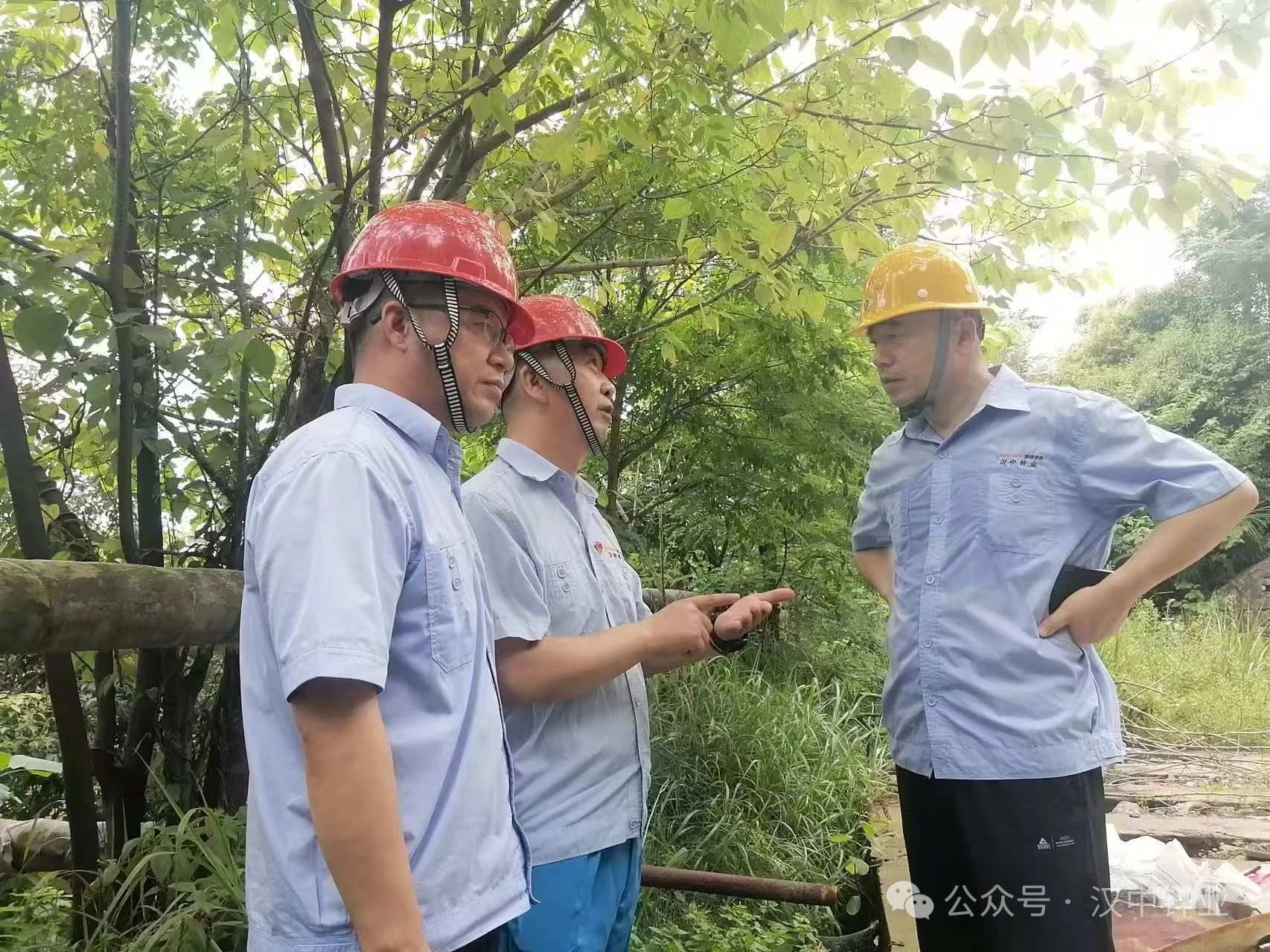 1722330452335818.jpg 730.jpg